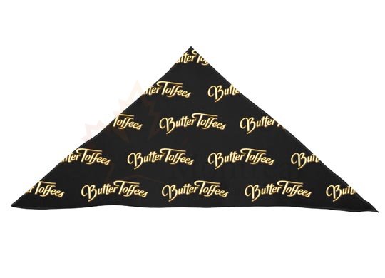 Bandana Triangular